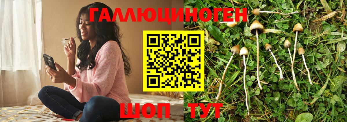 Галлюциногенные грибы мухоморы  Вход с VPN  купить наркоту  Полысаево  Псилоцибиновые грибы ЛСД 